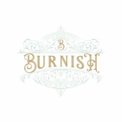 burnishvintage.com